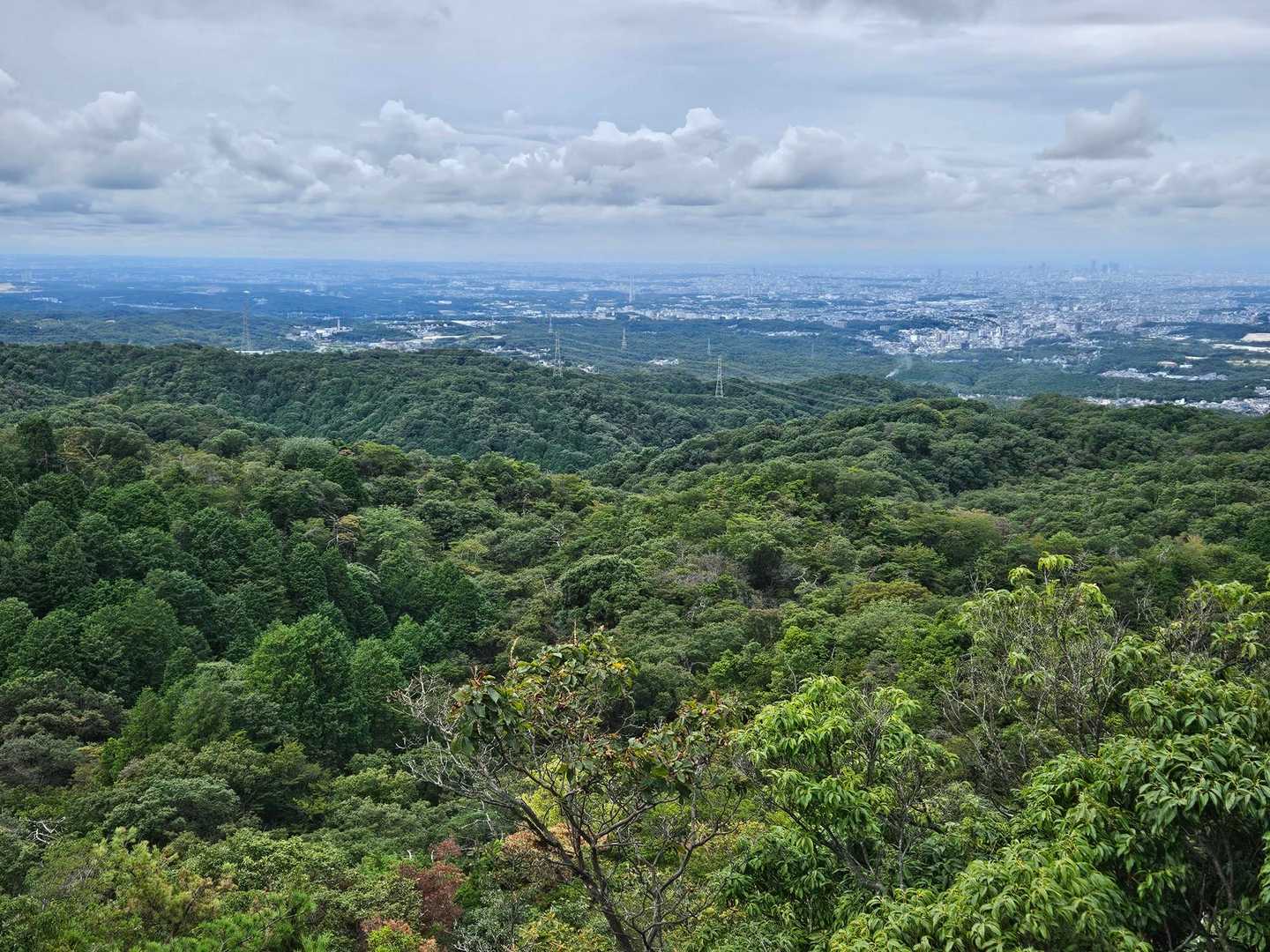 ここはどこだ？　
　元岩巣山山頂かな😅
