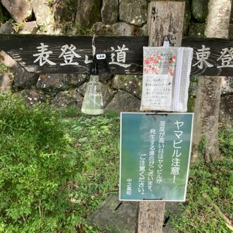 なんだってぇ