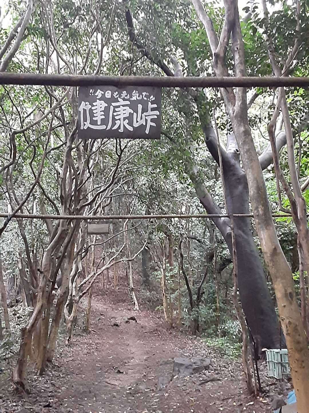 いつも健康をありがとう❤️