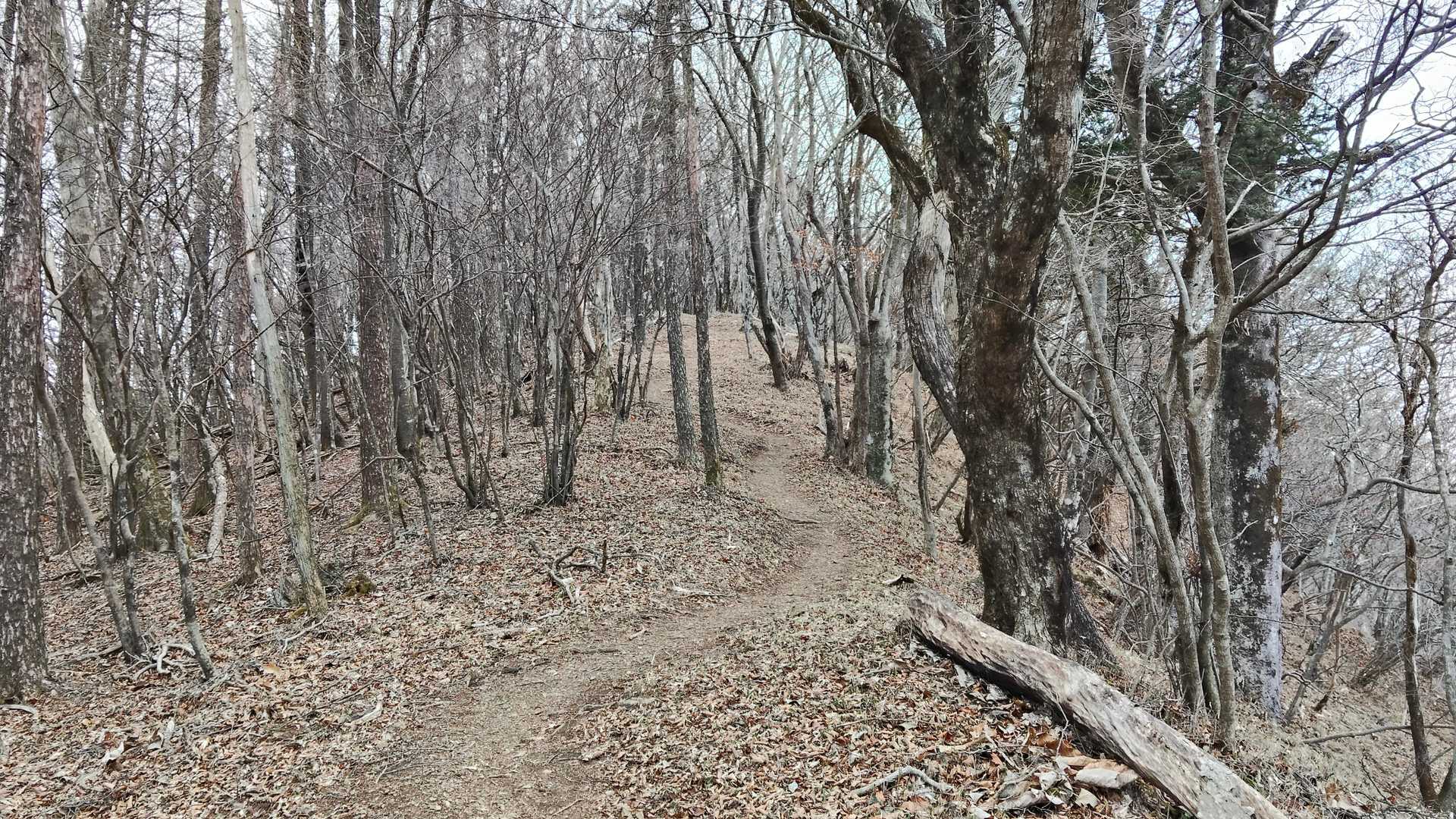 粉雪が舞う中、少し進むと...