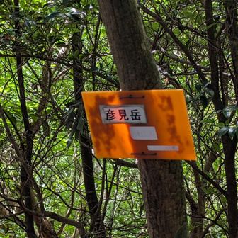 やっと着いたー😵
高見岳▲
次のピークへ行くか話し合い
此処まで来るのにめっちゃ疲れたけど、釣鐘山からの下山はほぼ林道なので大丈夫だろうと釣鐘山を目指す事に