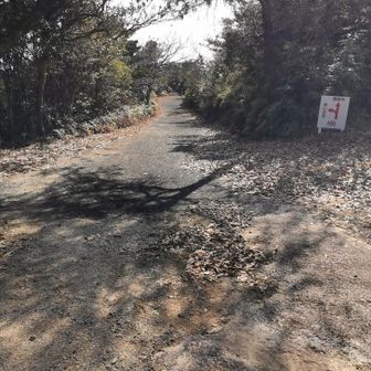 ここから秋穂荘へ