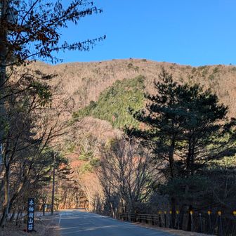 これのぼるよね〜？