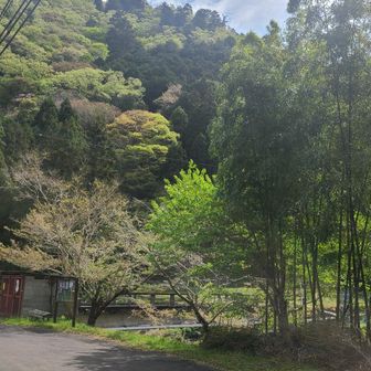 ⛰️近江百山⛰️ 猪背山・黒山 / araiotouの登山データ | YAMAP