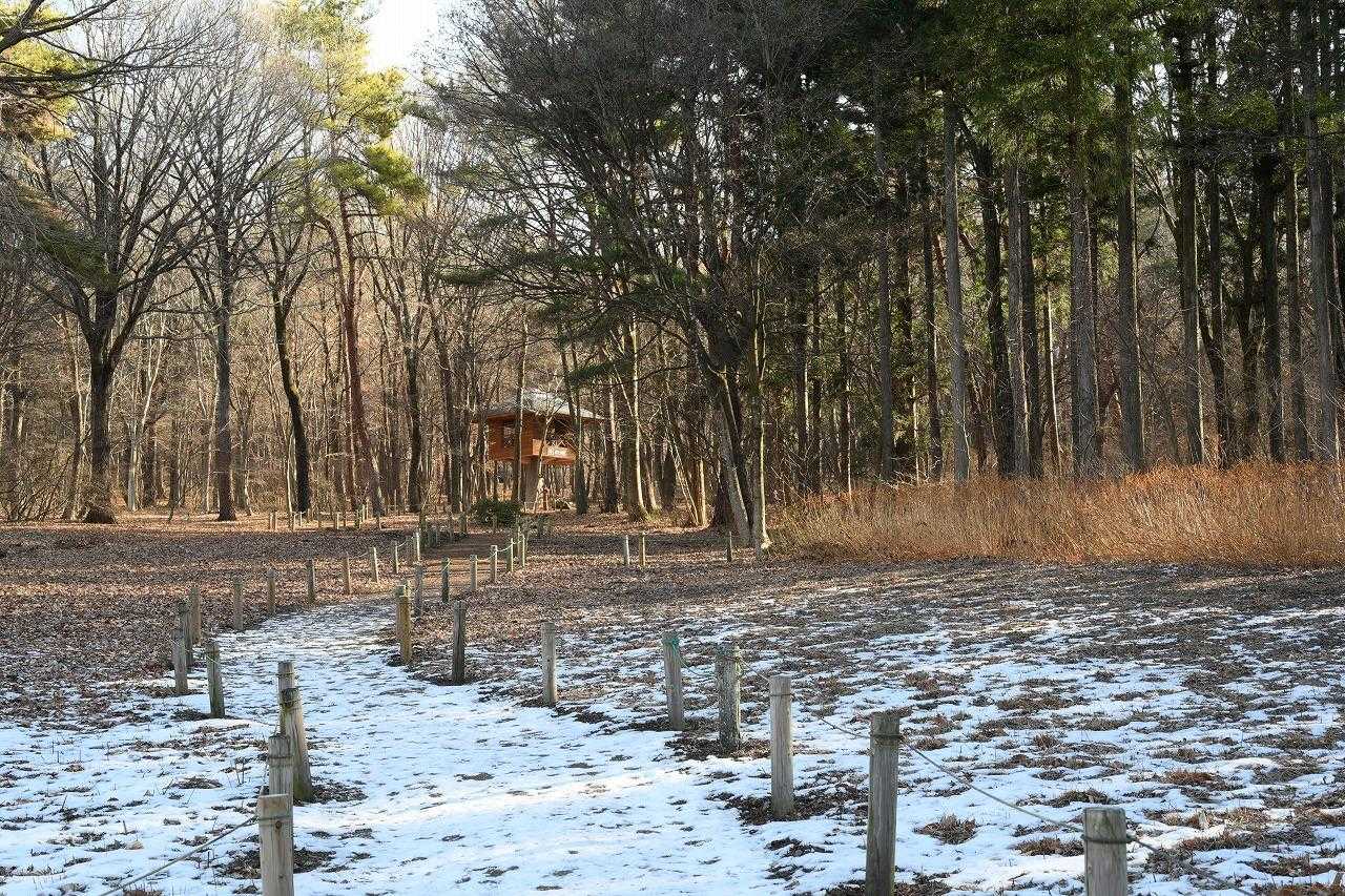 赤城自然園-2026-01-17 / コンコンさんの赤城山・黒檜山・荒山の活動データ | YAMAP / ヤマップ