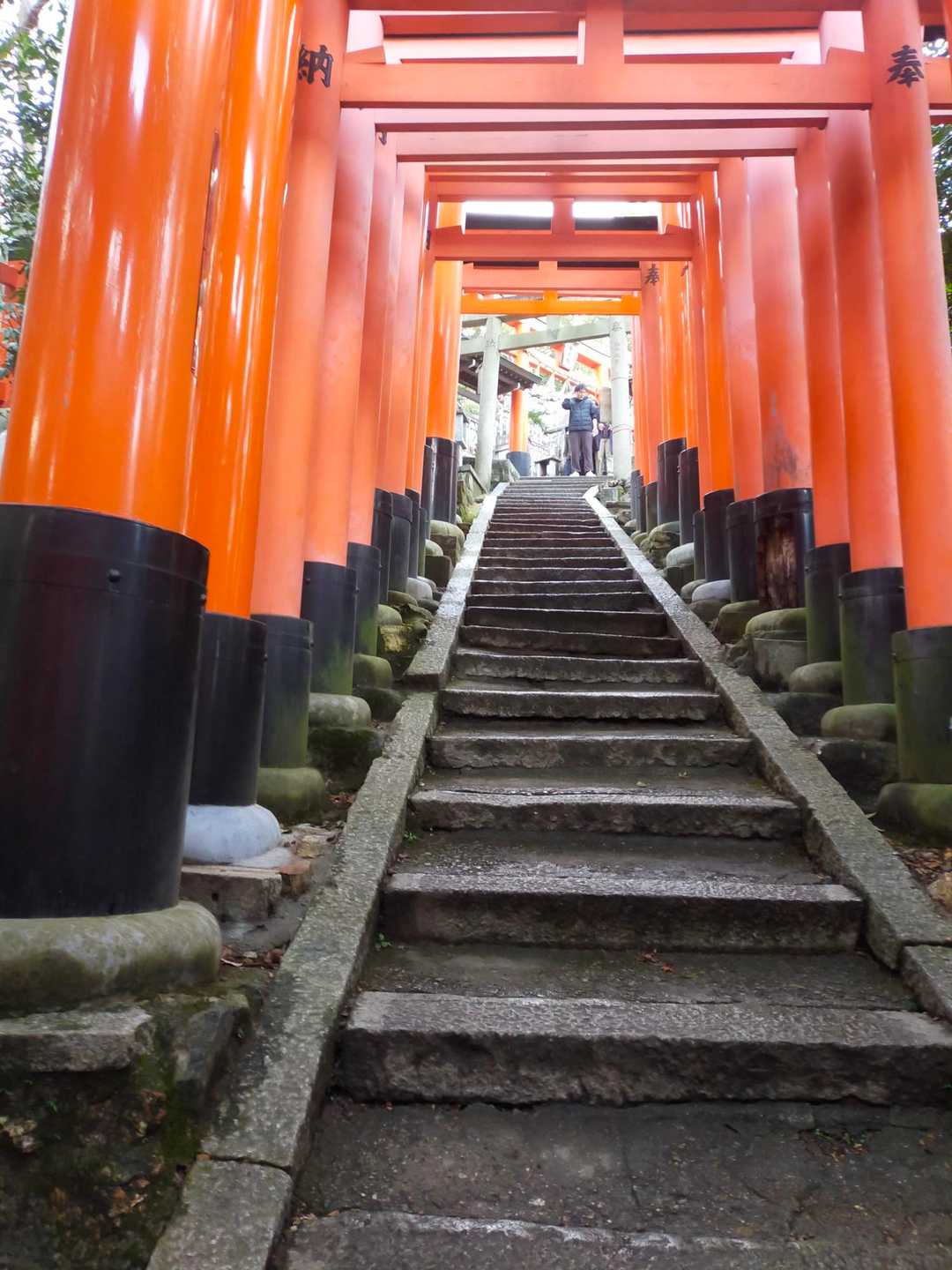 長い階段が続き、地味にキツイです。二ノ峰の辺りで疲れてた清少納言が、
7回も参拝した女性を見掛け、体力お化けすぎん？羨ましいわ〜と枕草子で綴ったそうです😆