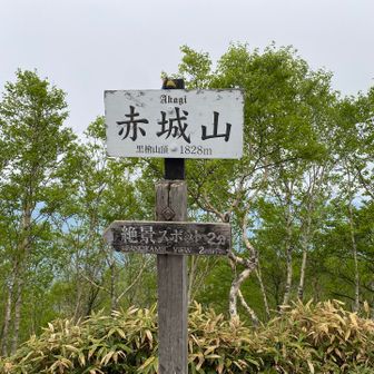 朝1の山頂は人が居なく静か