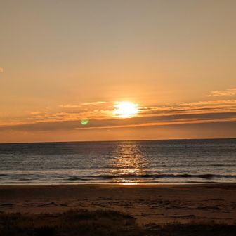 のんびりはまこ🏖️🫧