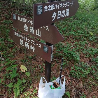 足柄峠ハイキングコースをひたすら登り、駐車場近くまでたどり着く。ついでに、ゴミ拾いの成果。