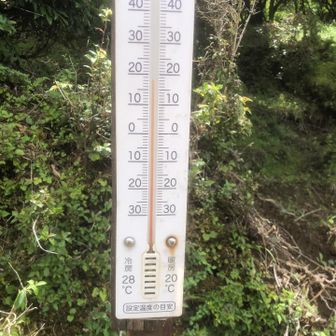 山頂の気温