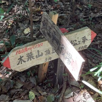 あとちょっとで山頂☺️