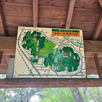 なるほど。先ほどの山の道は文学散歩道だから歌碑があったわけですね。