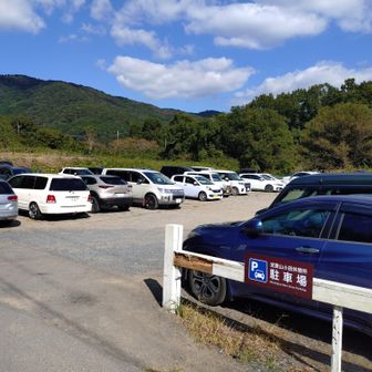 午後でも居ますね。でも午前中よりは空いてます。