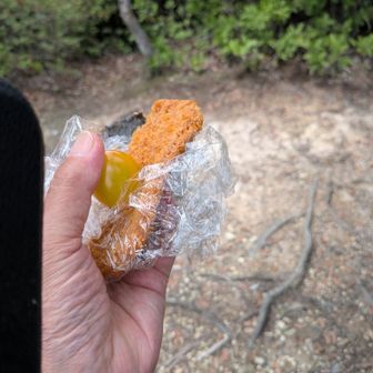 おにぎりにフィッシュカツと昨日もらったミニトマト
しかしフィッシュカツは徳島の人しか知らないかも