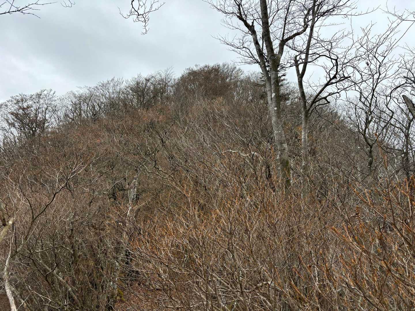 気づかず通り過ぎたけど、これが鍵掛です