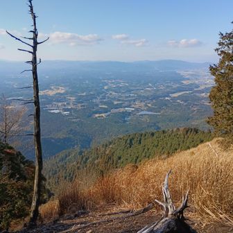 どこですか～と叫ぶ😂
甲賀町方面？