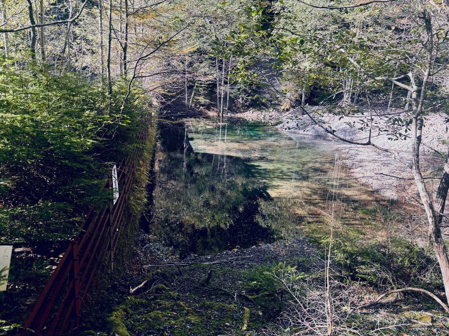 水のリフレクションが綺麗