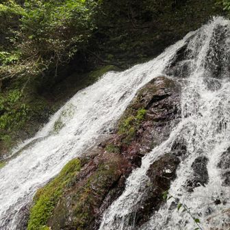 長雨の影響なのか、水量も多くて迫力が半端なかった！😳