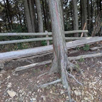 ベンチで一休み