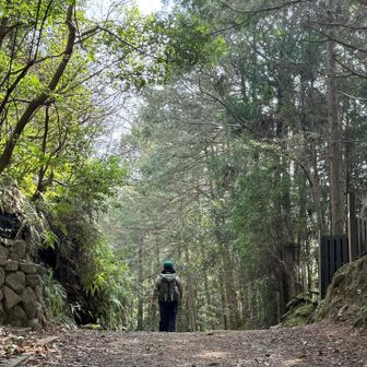 hiker ハチノス