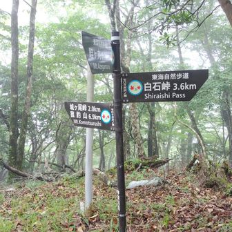モロクボ沢ノ頭