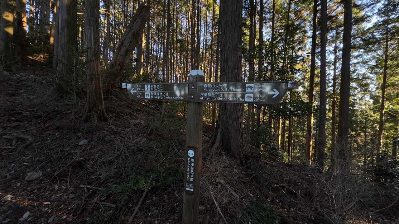 秋葉山上社へ初詣ハイク の写真 12