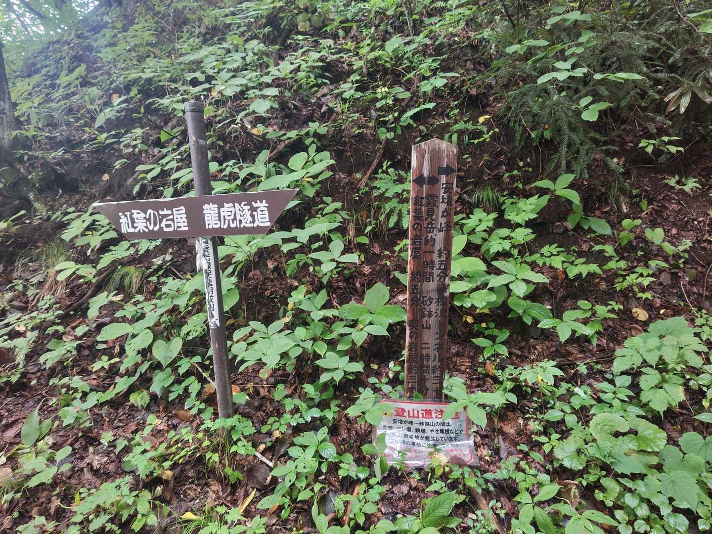 紅葉の岩屋とは反対側へ
登山道注意の案内が