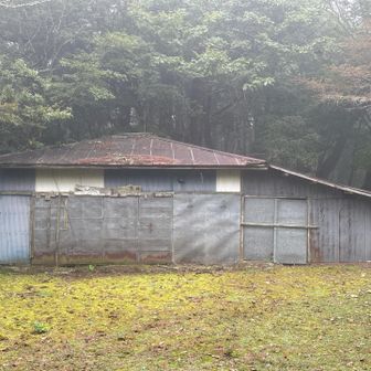 なにから朽ち果てつつある構造物も。昔は栄えていたのかしら？