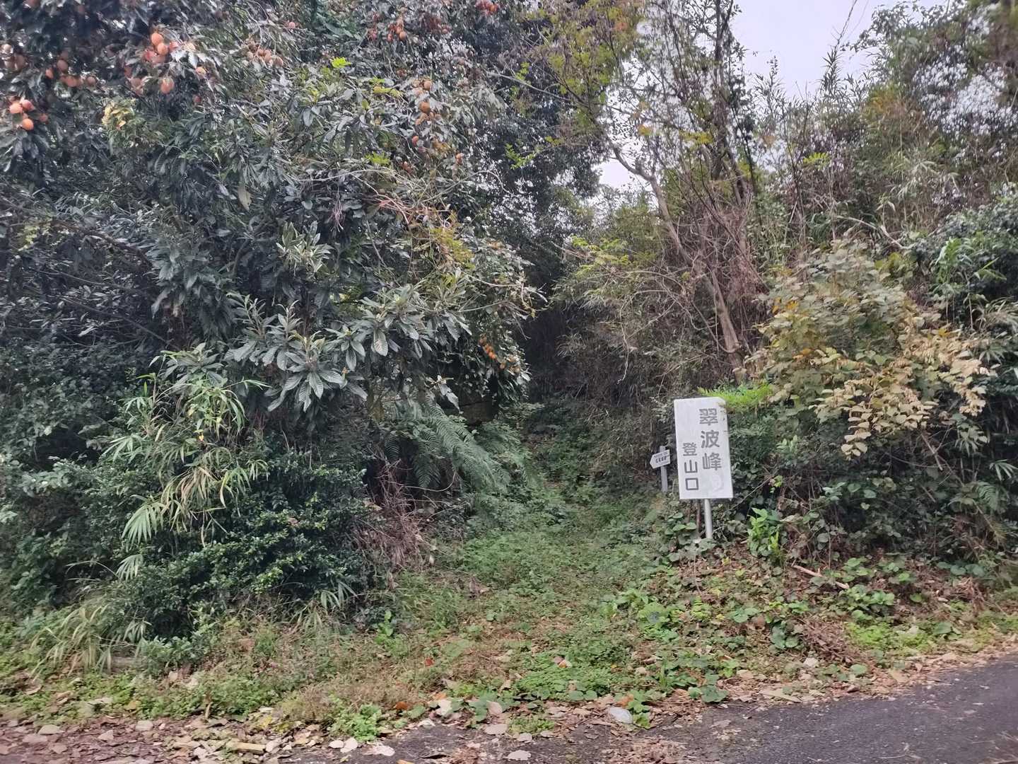 翠波峰登山口から。
周りは民家がある。
