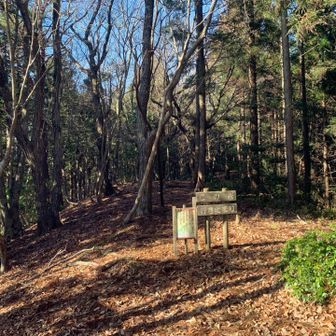 周回は、この先を進むが、行き止まり標識。今日はピストンします