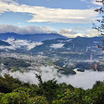 津久井湖が雲海に♪素晴らしい光景！

天気や時間に余裕ができたので、これからセブンサミッツルート完走し、大垂水峠越えて南高尾で会い損ねたアケボノソウの咲く場所へ行ってみるかな♪