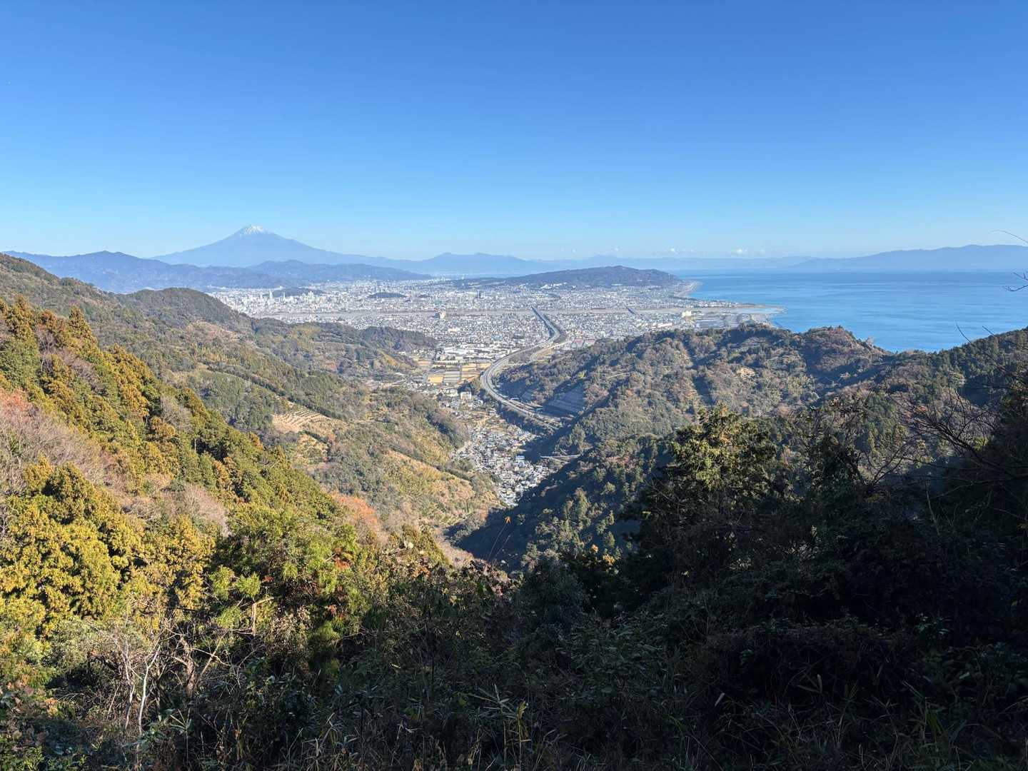 静岡の街が一望できる