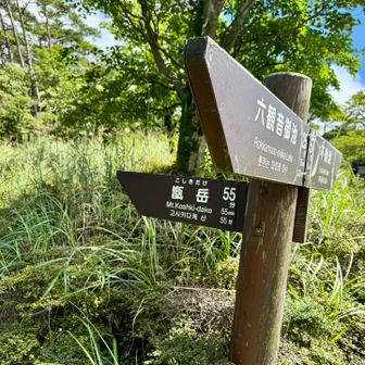 さぁ甑岳へ