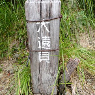 大遠見山