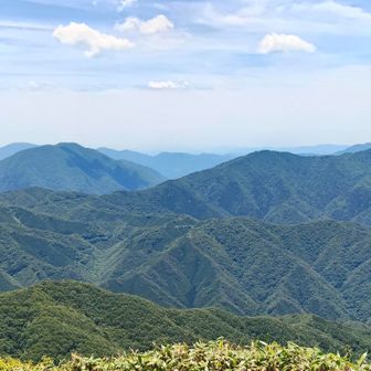 羅漢山 小五郎 大将陣方面✨️