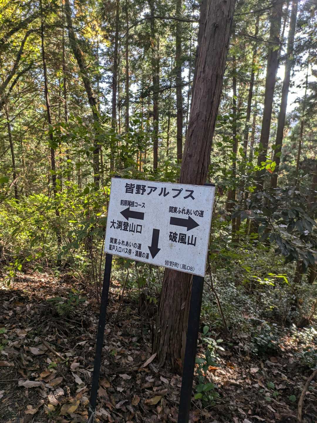 登山道が山稜にたどりついた所の道標(右側に上る)