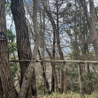 11個目、リュック掛けございます💁‍♀️
肩の荷を降ろしてお休みくださいませ