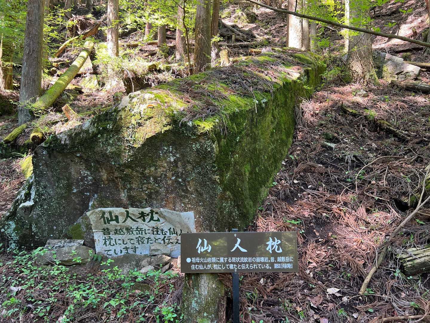 登山道は石が転がってて歩き難い💦
仙人枕。結構デカい岩。仙人はデカかったのか？