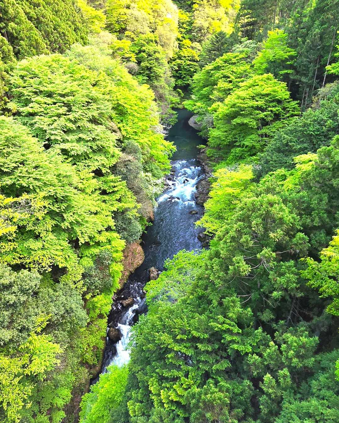 境橋から見える多摩川