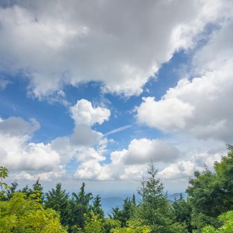 分岐到着
左に下山する予定だったけど、右に15分で横倉山というピークがあるので行ってみようか？