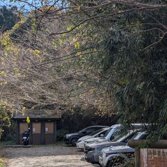 駐車場到着✌️