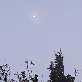 暴風雨の翌朝、雨は止んでいましたが小屋の外は霧で真っ白。ん？でもお月様が…