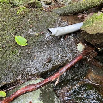 3合目の下には水場あり🚰下山後は登山口のトイレの所に水道とブラシがあったのでドロドロになった靴を洗うことができました🤟感謝です🙏