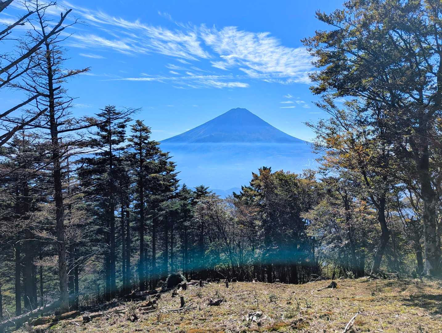 金山からも正面に富士山🗻