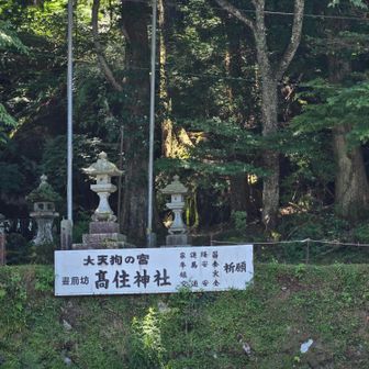 無事駐車場に到着です😃🎵
思ってた以上に涼しくてお花に癒され良い気分転換出来ました✌️
