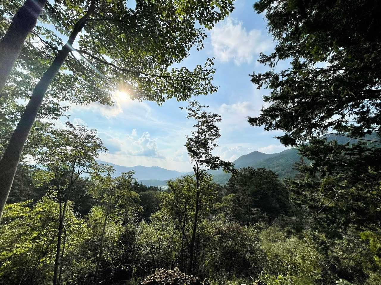 切越峠-二ッ森山 周回コースの写真
