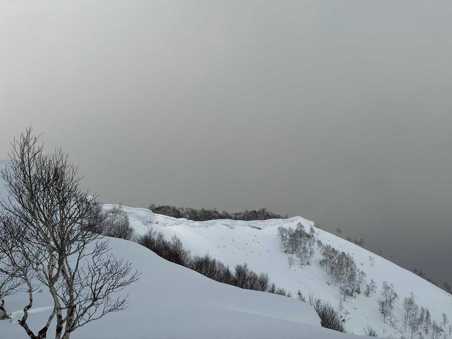 クリーム見たいな雪庇が見える
雪が重くなってきた