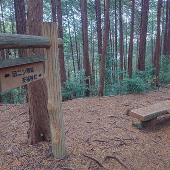 だいぶおりてきました