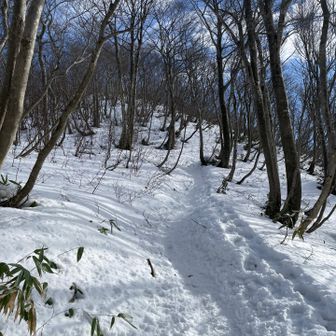 チェーンスパイクが何度も脱げる