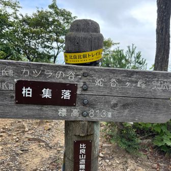 もうちょいやな